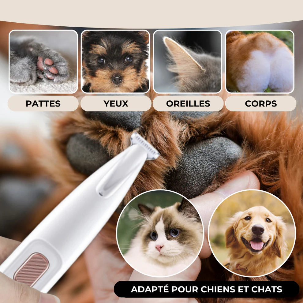 TrimePattes™ | Tondeuse Silencieuse de Précision
