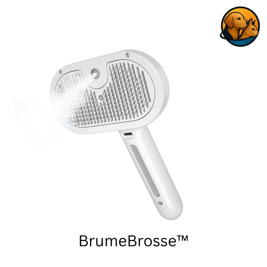 BrumeBrosse™ – Le spa 3-en-1 pour des poils doux et brillants