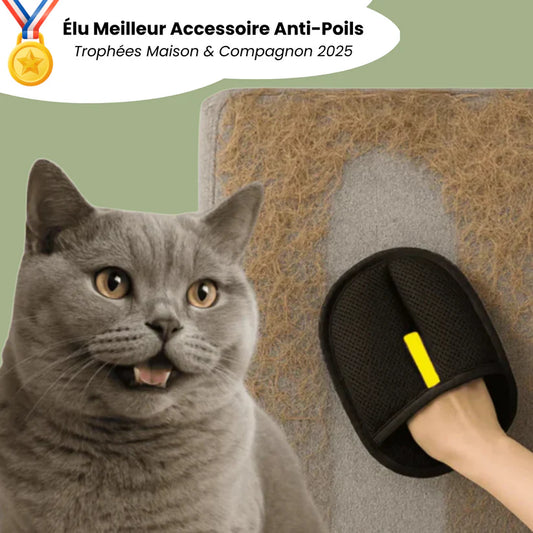 PawBrush™ Gant de Brossage Anti-Poils