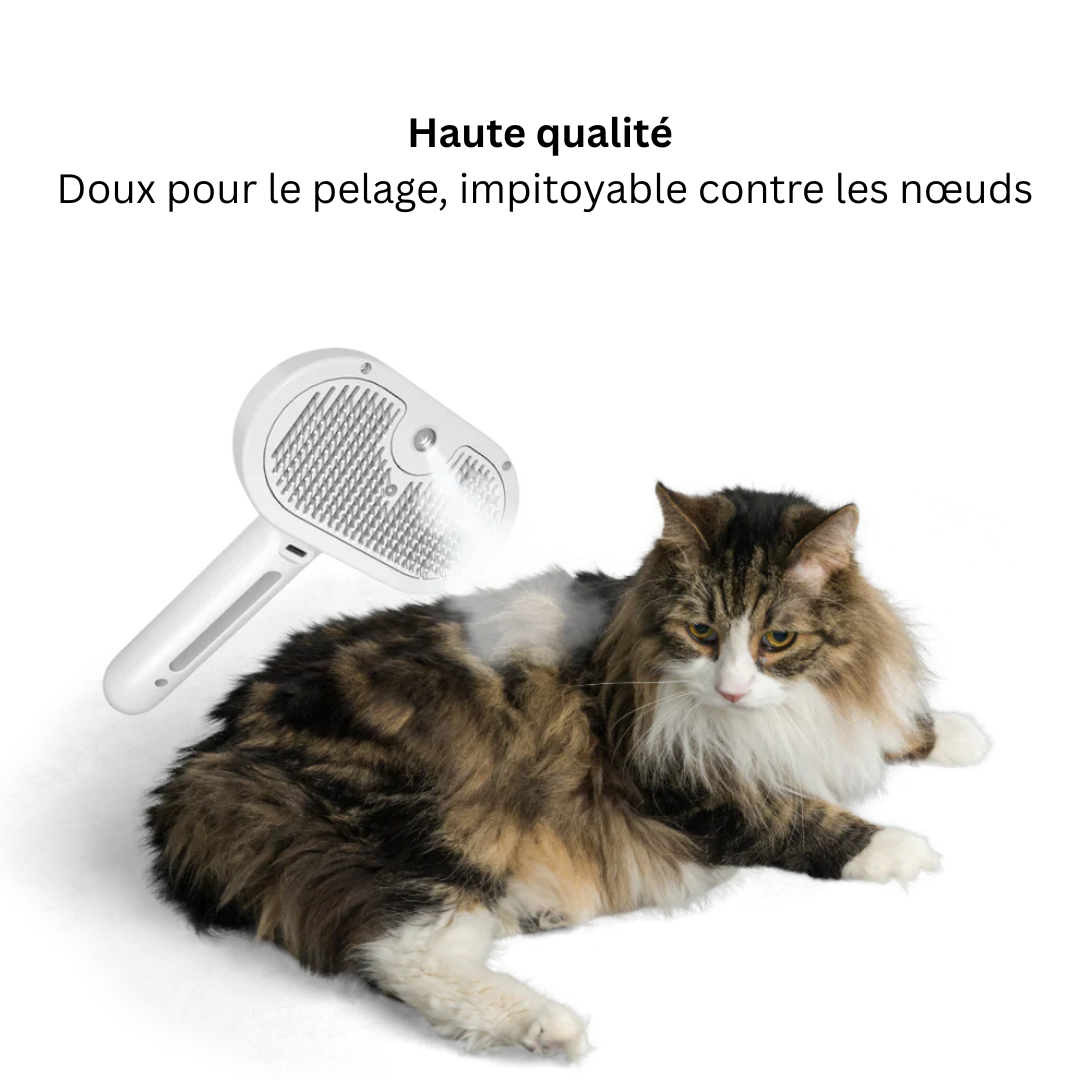 BrumeBrosse™ – Le spa 3-en-1 pour des poils doux et brillants