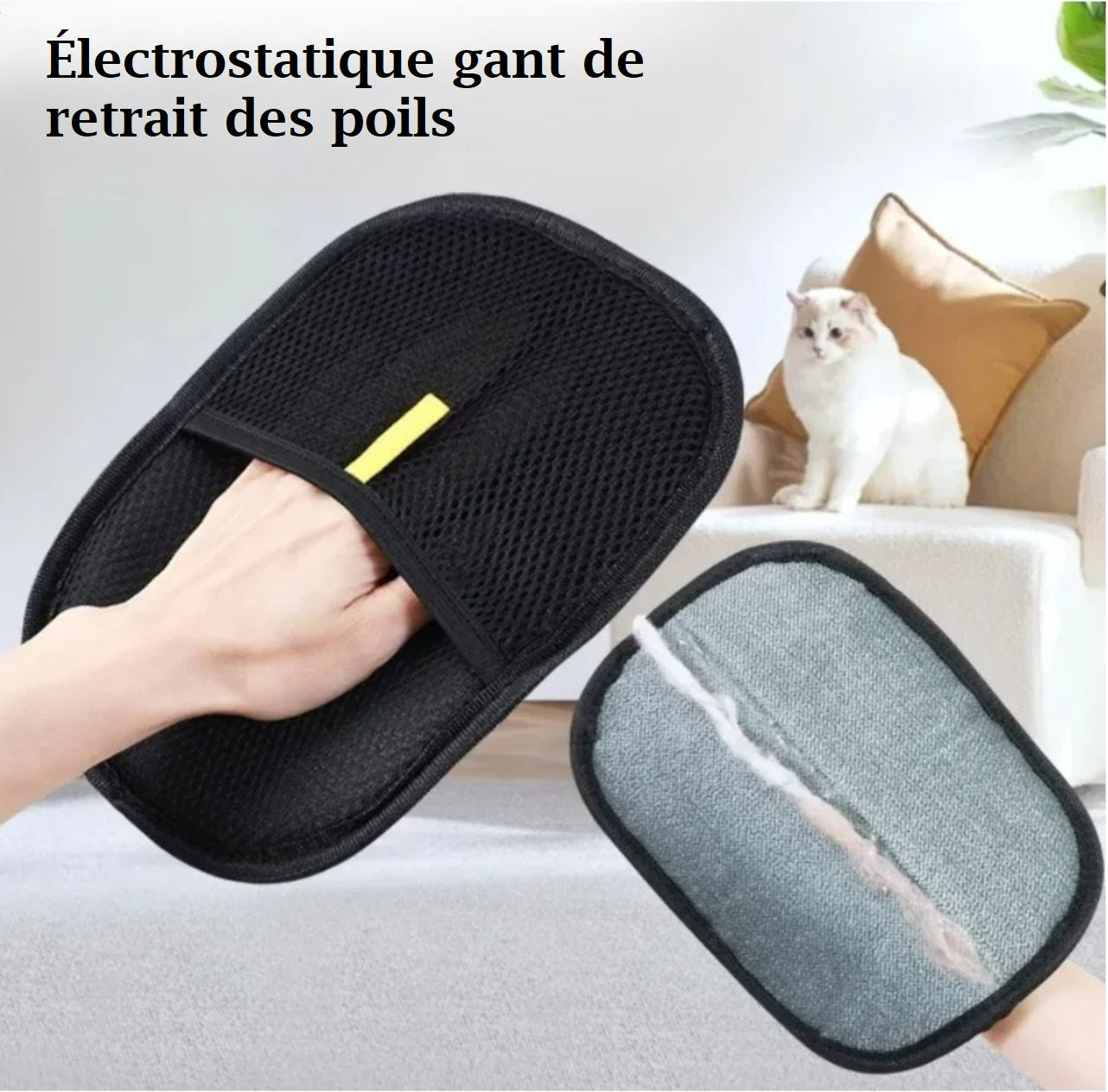PawBrush™ Gant de Brossage Anti-Poils