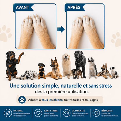 PawFini™ | Griffes parfaites, sans stress