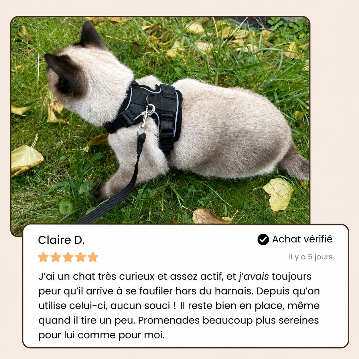 Balade Féline™ | Harnais sécurisé pour chat