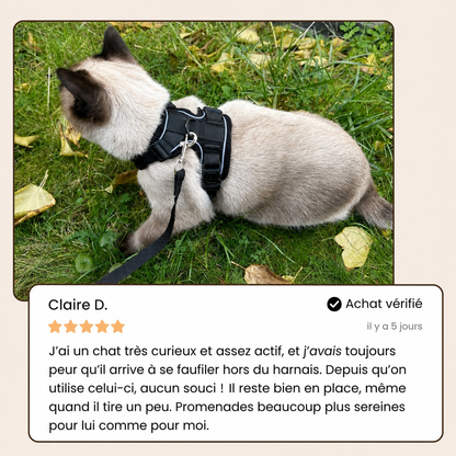 Balade Féline™ | Harnais sécurisé pour chat