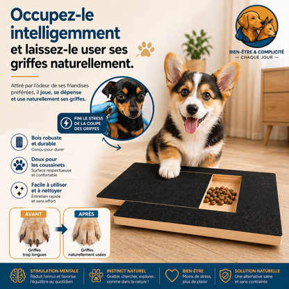 PawFini™ | Griffes parfaites, sans stress