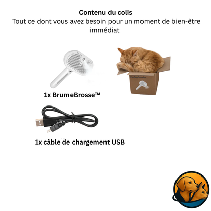 BrumeBrosse™ – Le spa 3-en-1 pour des poils doux et brillants