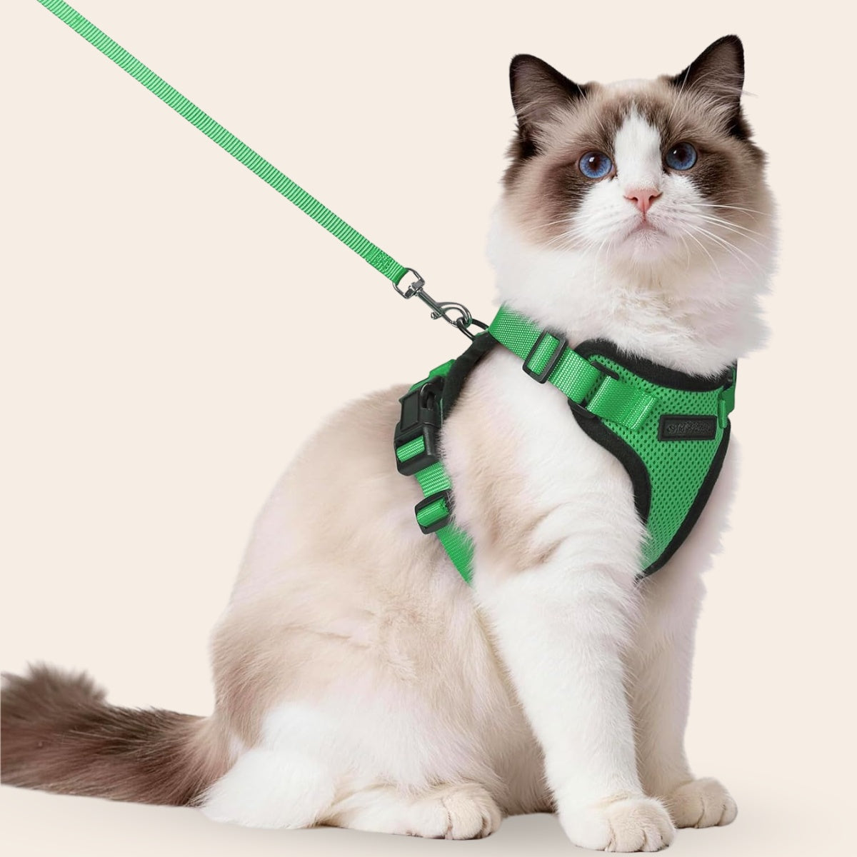 Balade Féline™ | Harnais sécurisé pour chat