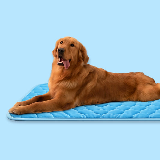 FrescoZen™ – Tapis Rafraîchissant Apaisant