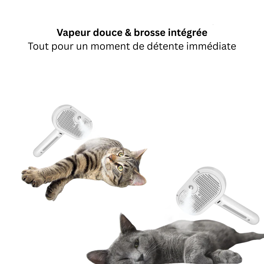 BrumeBrosse™ – Le spa 3-en-1 pour des poils doux et brillants