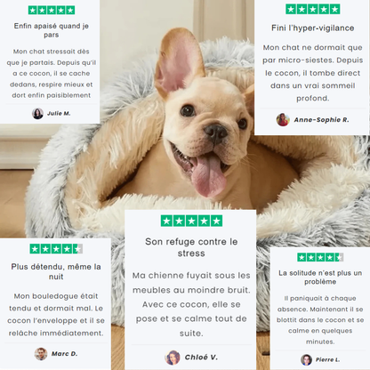 CaniCocoon™ | Cocon anti-stress chiens & chats
